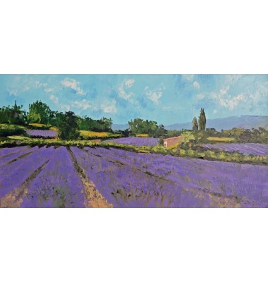 Lavendel in der N&auml;he von Gordes