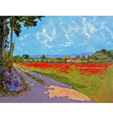 Coquelicots &agrave; Oppede