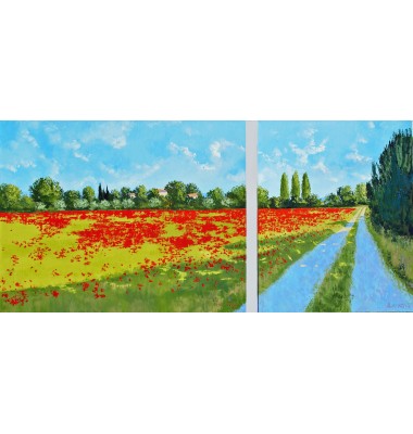 Promenada si c&acirc;mp cu maci l&icirc;nga Oppede