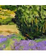 Landscape with lavander fields in Provence