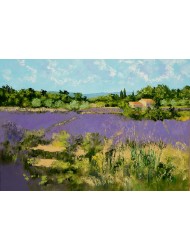 Bauernhof mit Lavendel