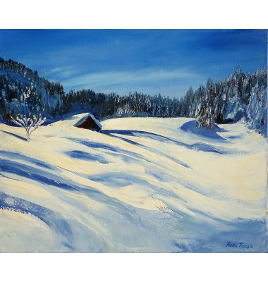 Zapada la Courchevel