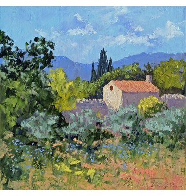 Landschaft mit Olivenb&auml;umen