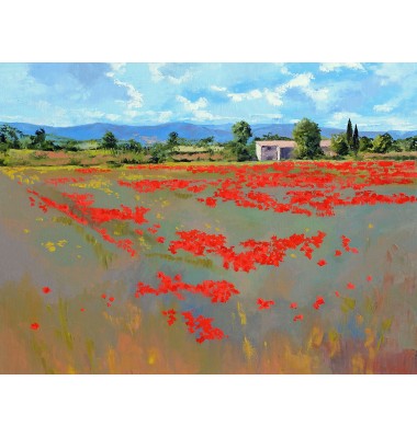 Ferme avec champs de coquelicots.