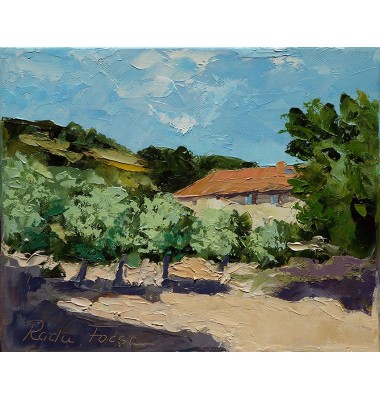 Oliviers pr&egrave;s de la maison