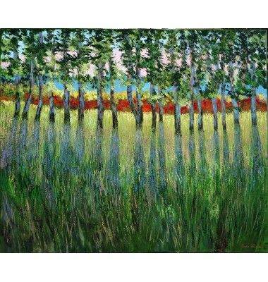 Lumi&eacute;re &agrave; travers les arbres