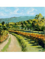 Chemin en été en Provence n° 2