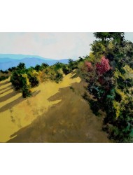 Gehen Sie in der Nähe von Gordes