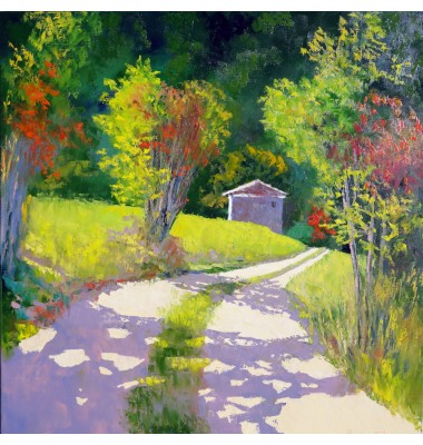 Viță de vie vara &icirc;n Luberon 