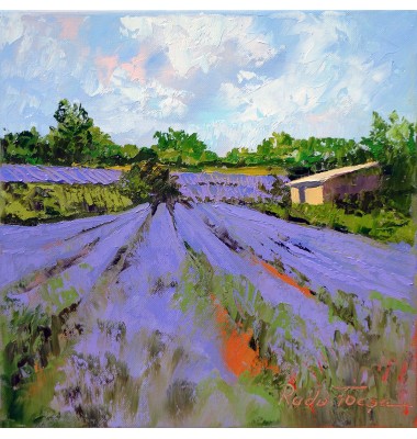 Stone shed in a lavender field