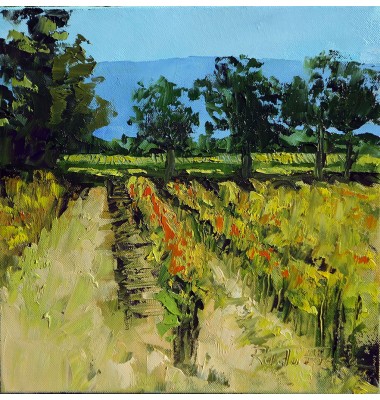La vigne en septembre