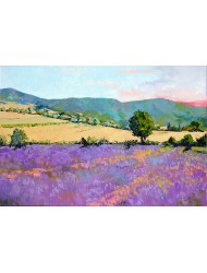 Lavandă &icirc;n Pays d'Apt