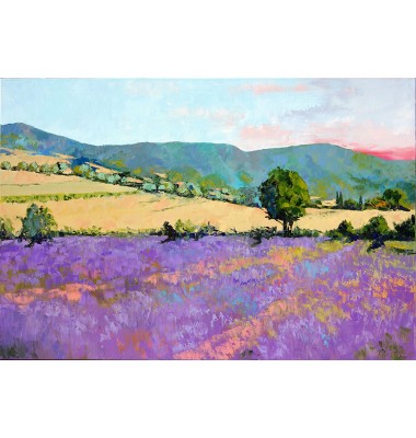 Lavandă &icirc;n Pays d'Apt