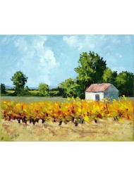 Landschaft mit Weinrebe im September