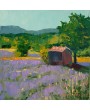 Cabanon dans un champ de lavande 2