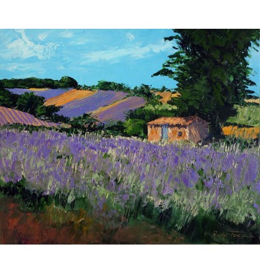 Abri et champs de lavande