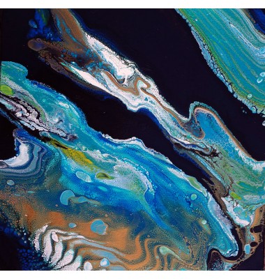 Le fleuve vu de l'espace