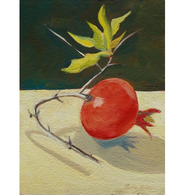 Schuppen mit Mohnblumen