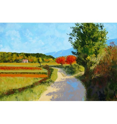 Automne dans la vigne