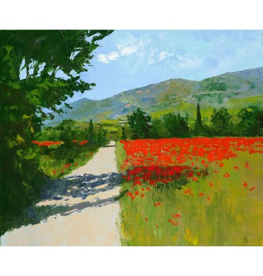 Weg mit Mohnblumen